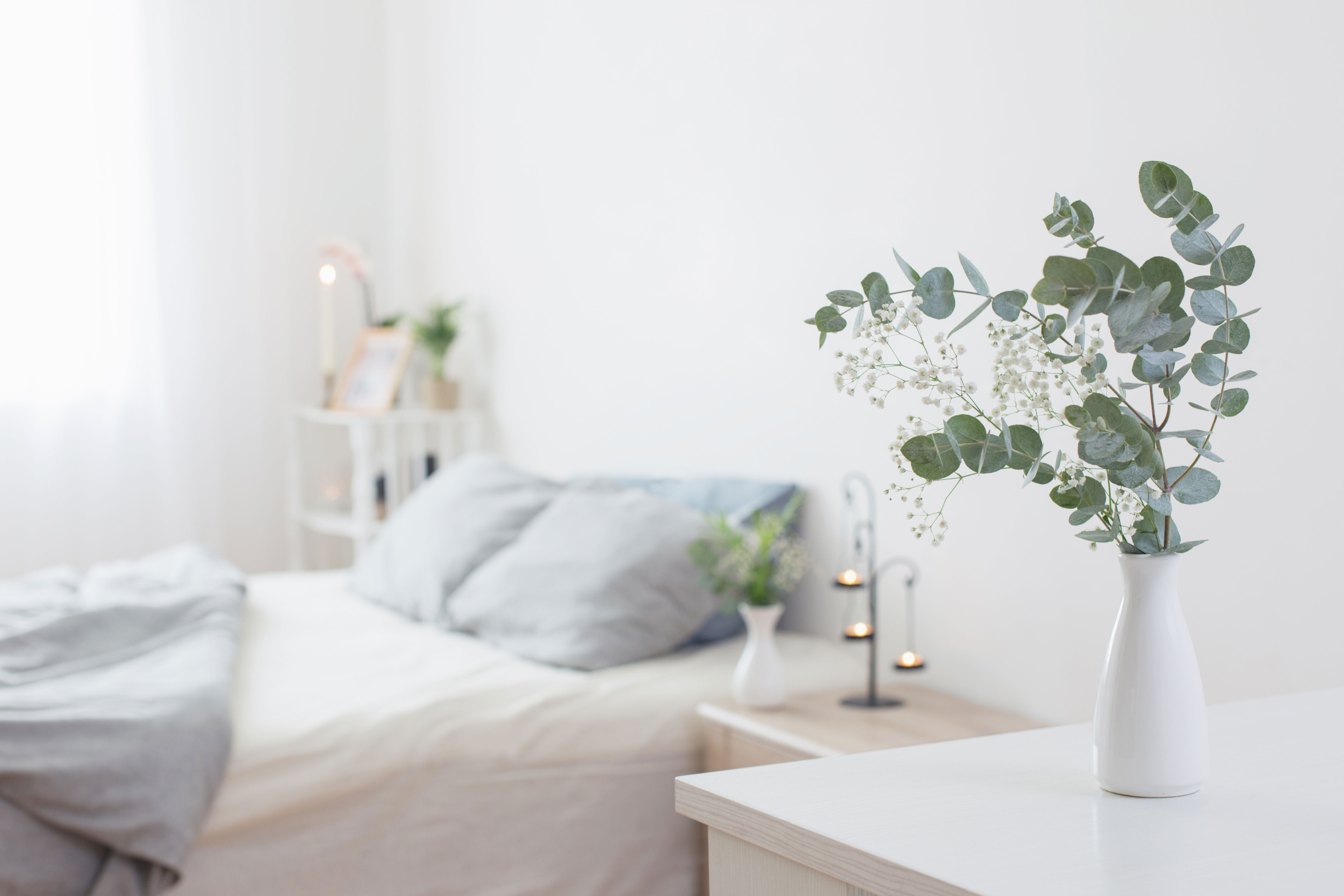 eucalyptus-and-gypsophila-in-vase-in-white-bedroom at Tivoli Gardens in the heart of Washington, D.C.